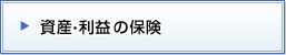 資産・利益の保険